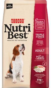 נוטריבסט סופר פרמיום עוף לכלב בוגר NutriBest