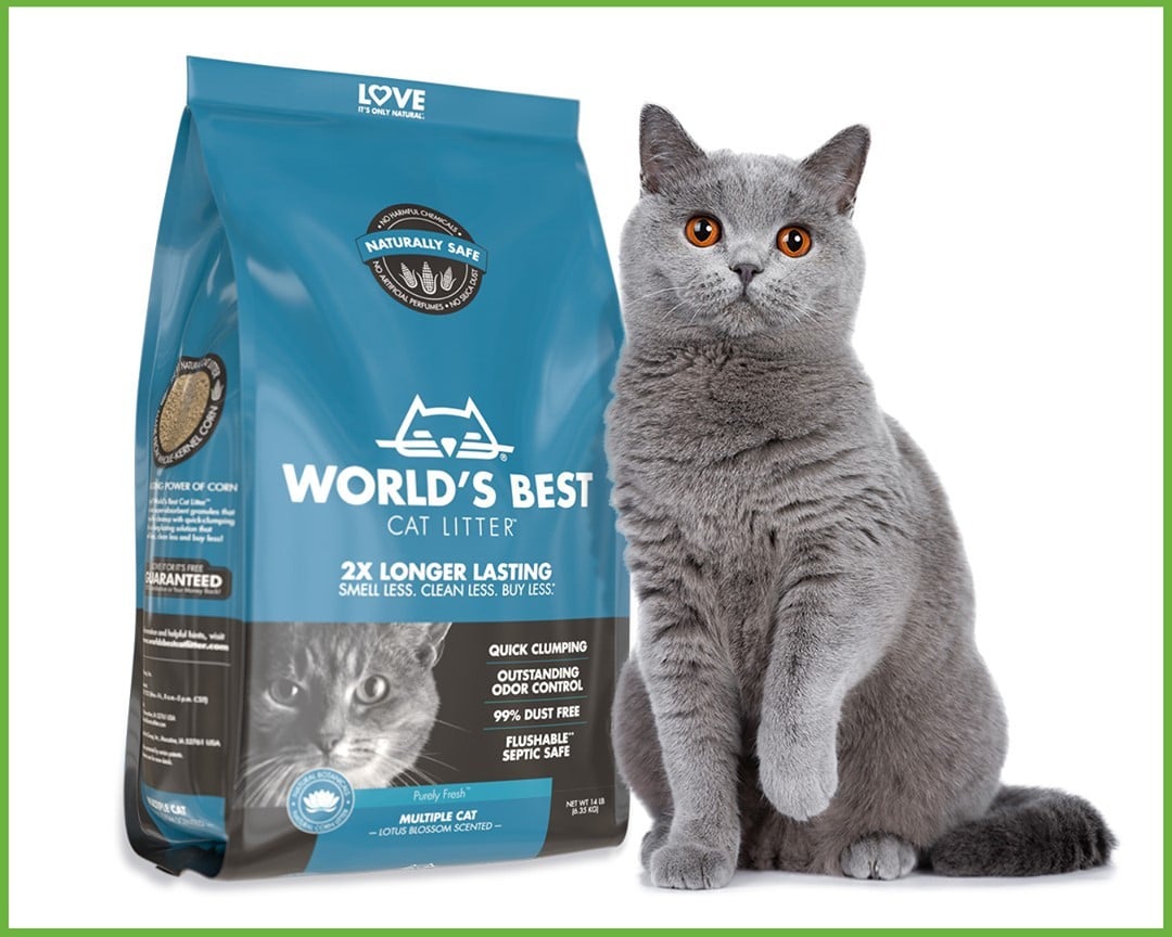 חול אורגני World's Best אריזה גדולה 6.8 ק"ג – תמונה 3