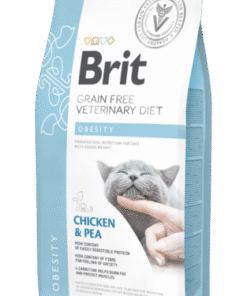 אוכל לחתולים ברית