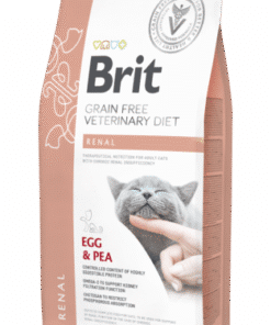 אוכל לחתולים ברית