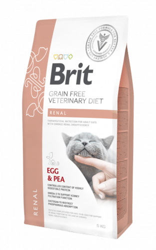 אוכל לחתולים ברית