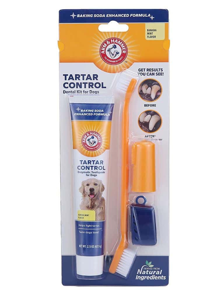 סט דנטלי לכלב ARM & HAMMER