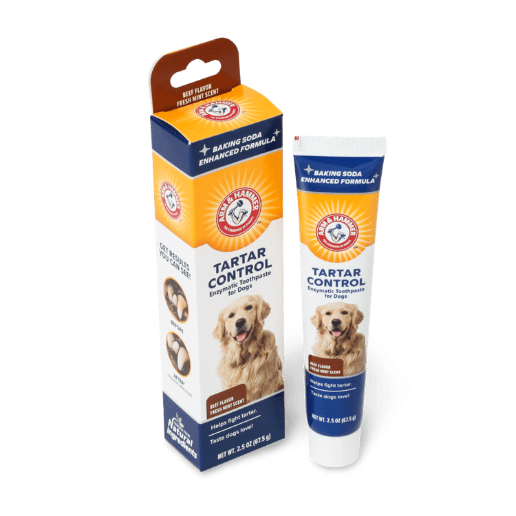 מבצע 2 משחות שיניים אינזימטיות ARM & HAMMER
